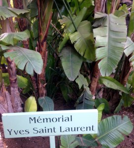 Memorial Yves Saint Laurent, Jardin Majorelle